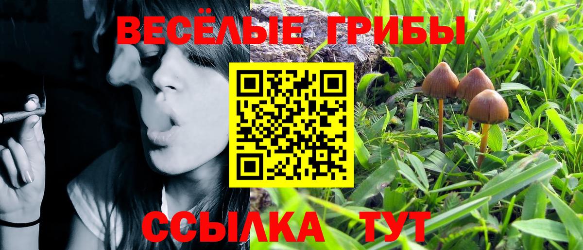 Галлюциногенные грибы Magic Shrooms Жуковский