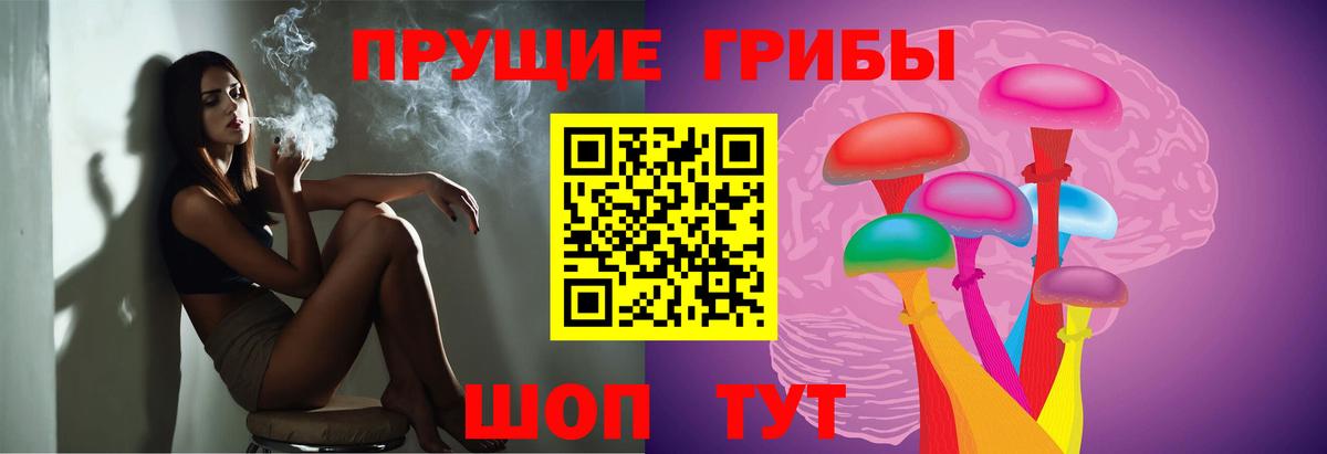 Псилоцибиновые грибы Cubensis  Галлюциногенные грибы мицелий  Вход с VPN  Жуковский 